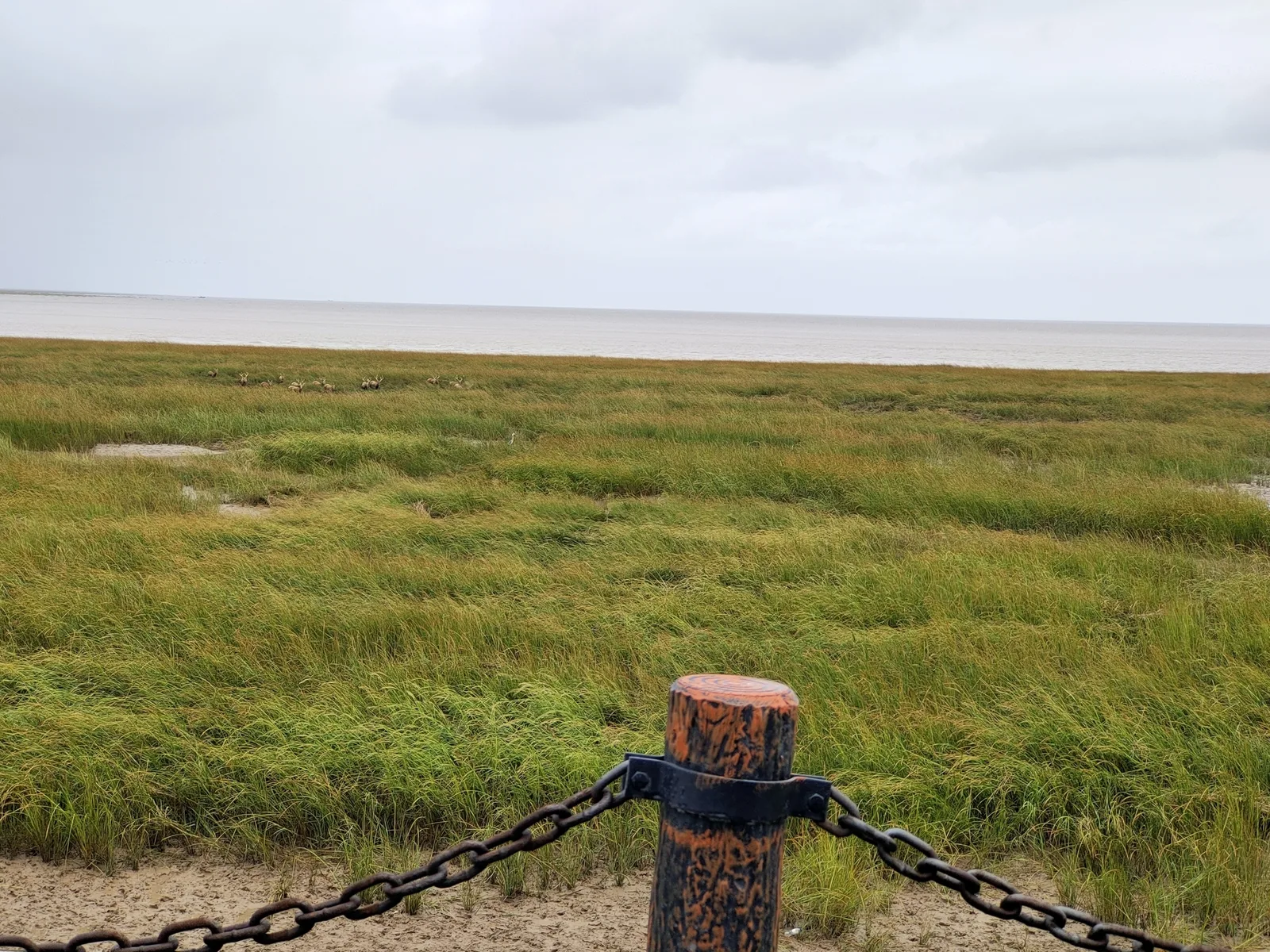 盐城旅行风景